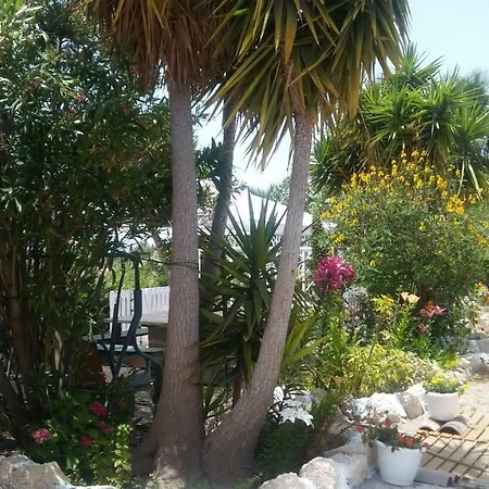 Ferienhaus Dulce Maikel *